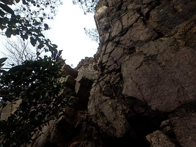 f0334143_1332571.jpg