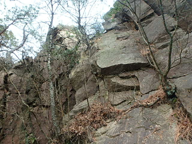 f0334143_1334557.jpg