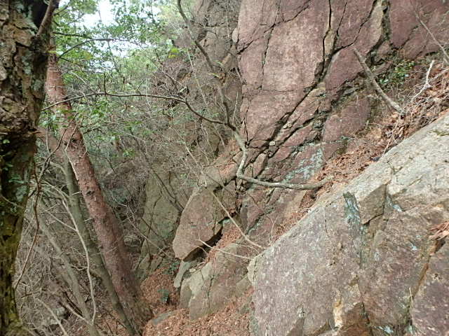f0334143_1345225.jpg