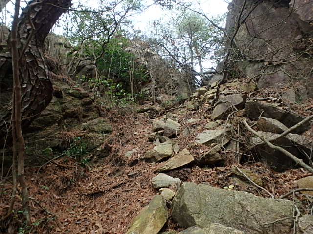 f0334143_1353527.jpg