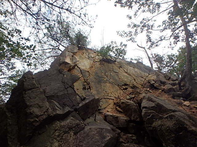 f0334143_1354622.jpg