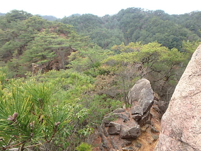 f0334143_136228.jpg