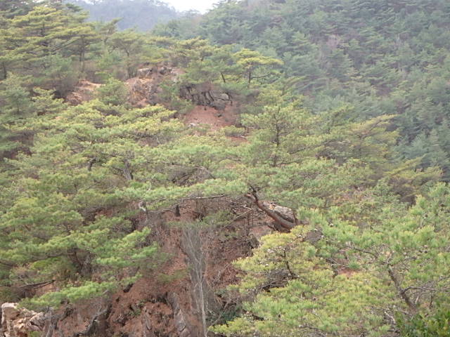 f0334143_1363245.jpg