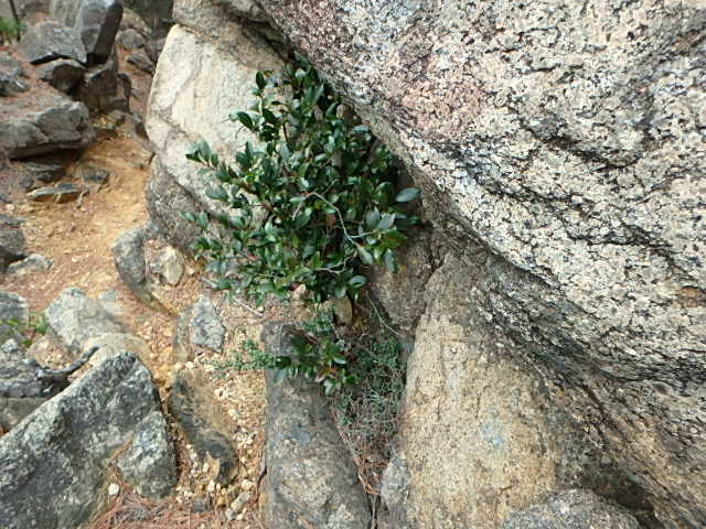 f0334143_136959.jpg