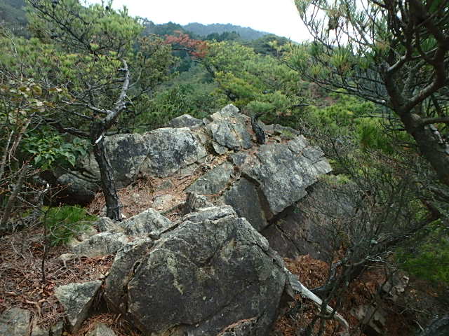 f0334143_137524.jpg