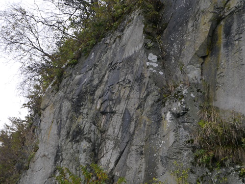 f0064449_1165986.jpg