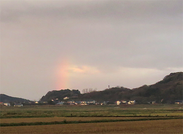 f0214649_8564928.jpg