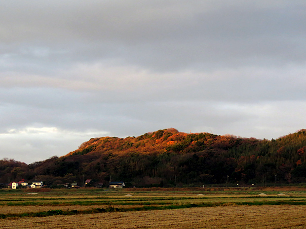 f0214649_921732.jpg