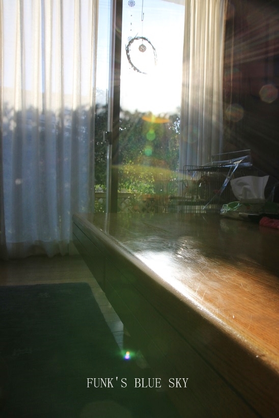 c0145250_09453640.jpg