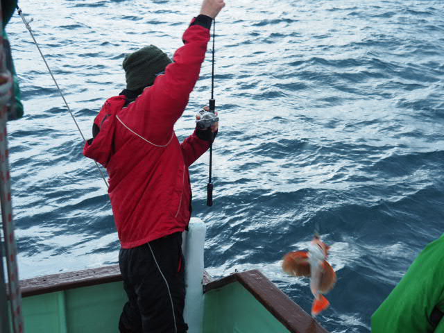 a0248152_1821214.jpg
