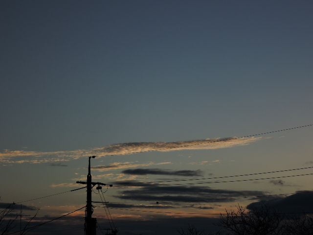 a0250553_123193.jpg
