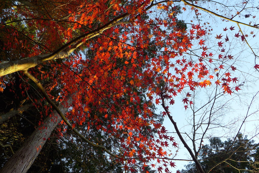 f0204955_2224177.jpg