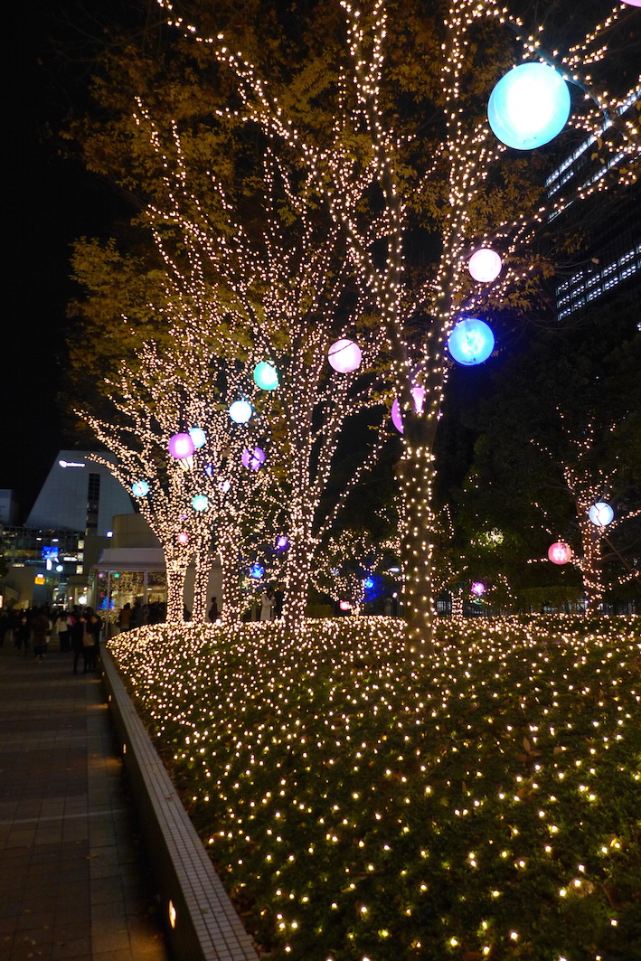 f0204955_226150.jpg
