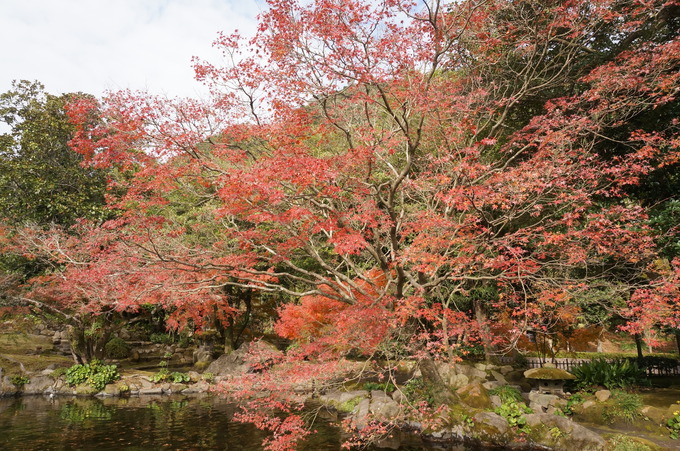 f0257756_0242649.jpg