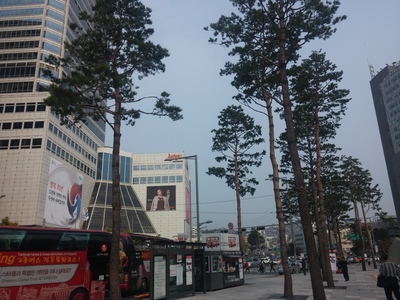 b0045267_12484438.jpg