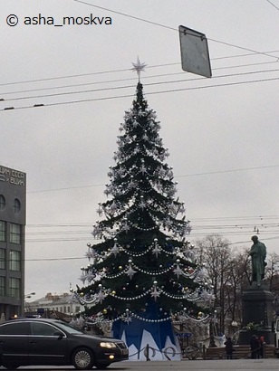 f0209878_00490355.jpg