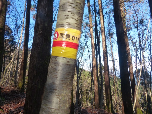 f0357487_225717100.jpg
