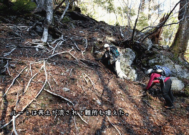 f0357487_23122681.gif