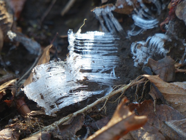 f0357487_23144876.jpg