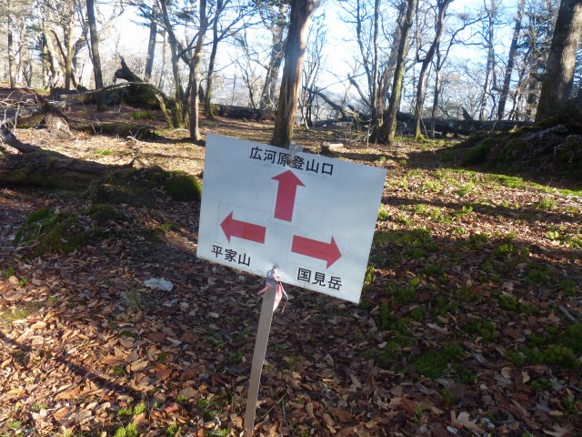 f0357487_23152727.jpg
