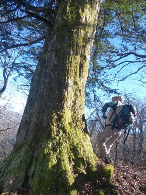 f0357487_23185666.jpg