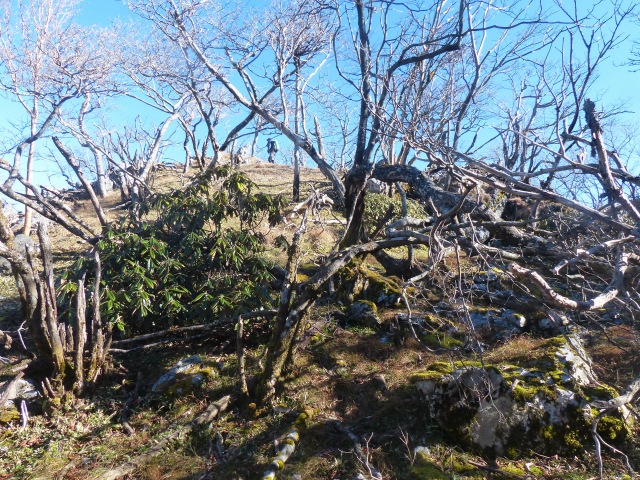 f0357487_23221867.jpg