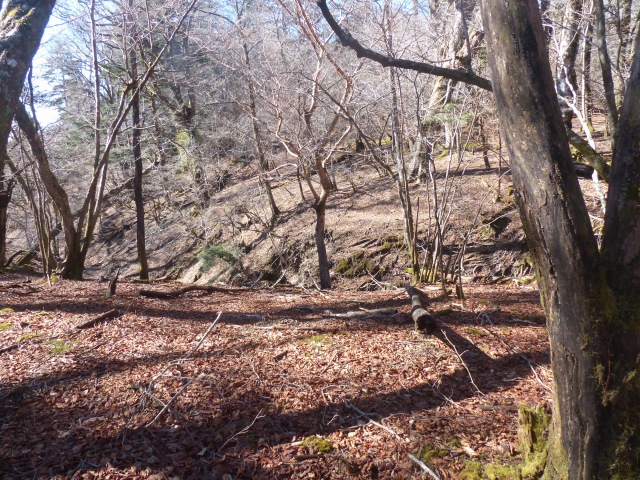 f0357487_23344187.jpg