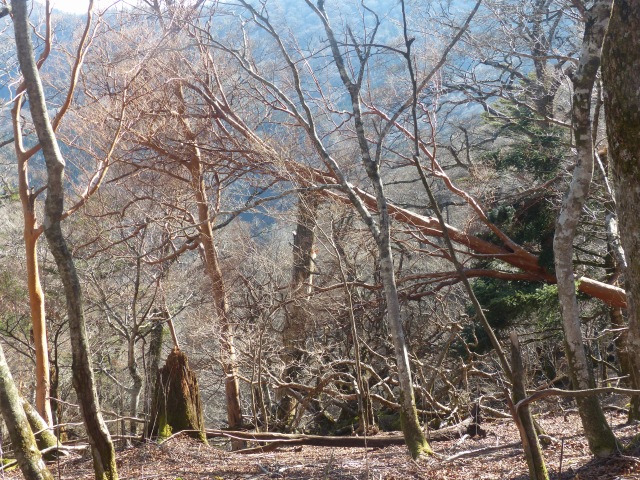 f0357487_23445750.jpg