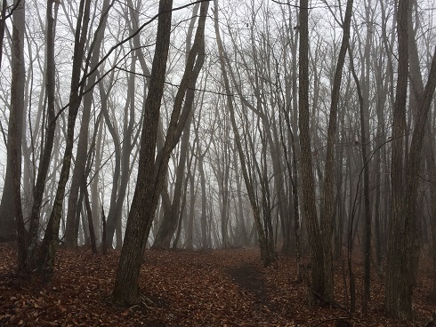 f0202990_15513448.jpg