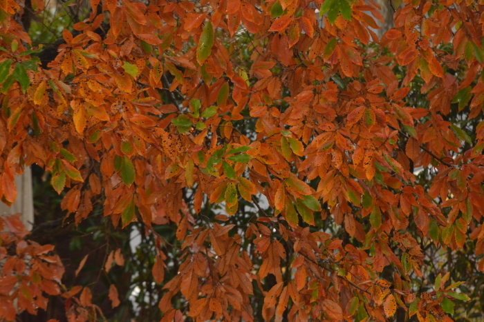 f0268294_01255301.jpg