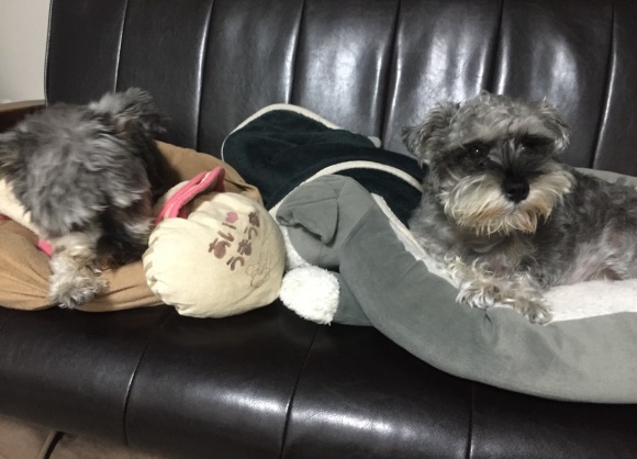 b0188998_19371891.jpeg