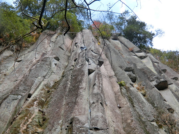 d0151699_1133143.jpg