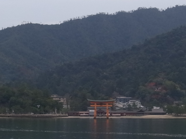 f0197703_10474775.jpg