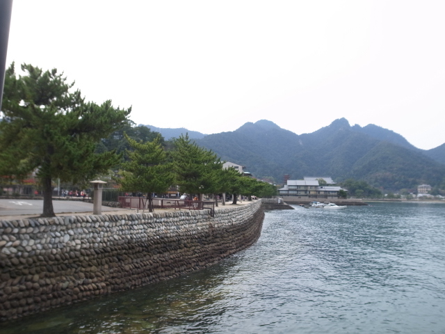 f0197703_10484535.jpg