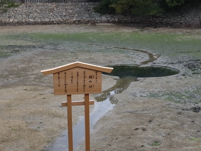f0197703_10590254.jpg