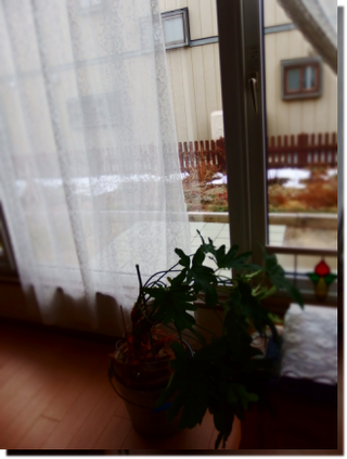 a0114514_1826940.png