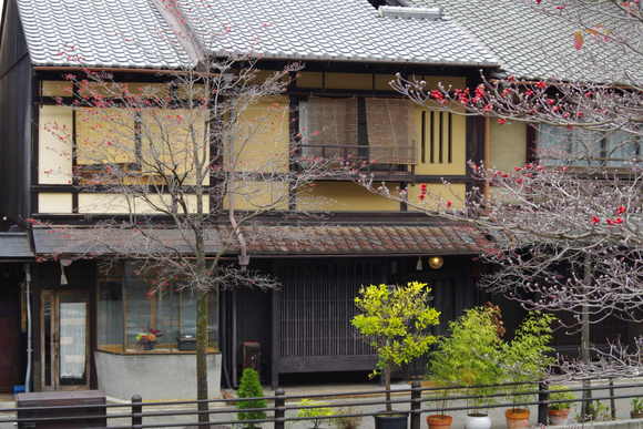 a0249215_9411753.jpg