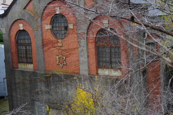 a0249215_942308.jpg