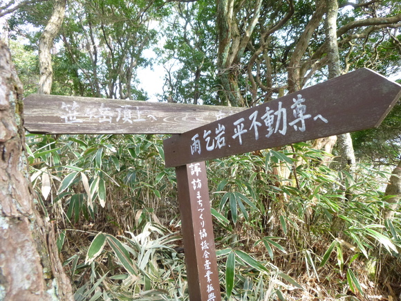 d0170615_2152170.jpg