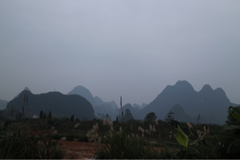 c0210618_23101128.jpg