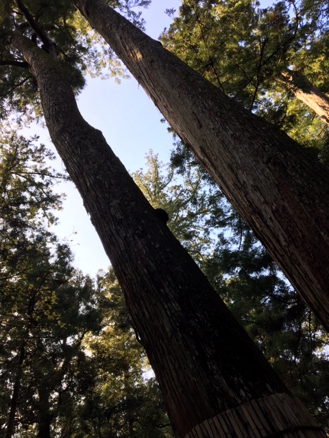 c0038722_10423197.jpg