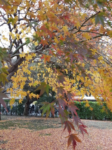 e0016828_14490034.jpg