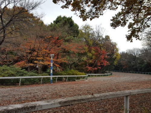 e0016828_14513610.jpg