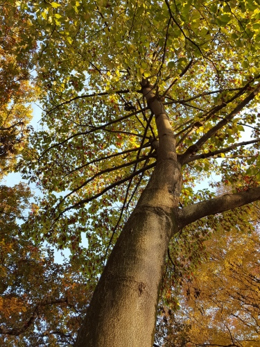 e0016828_14534987.jpg