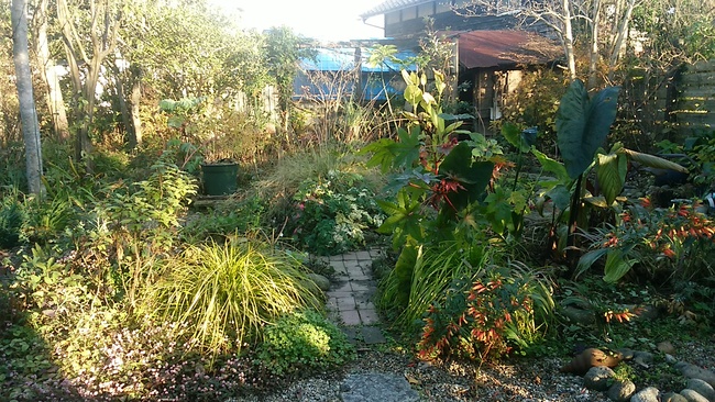 a0163529_19423382.jpg