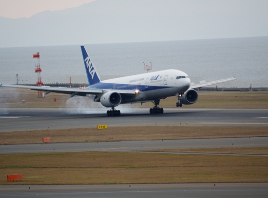 d0001533_2025112.jpg