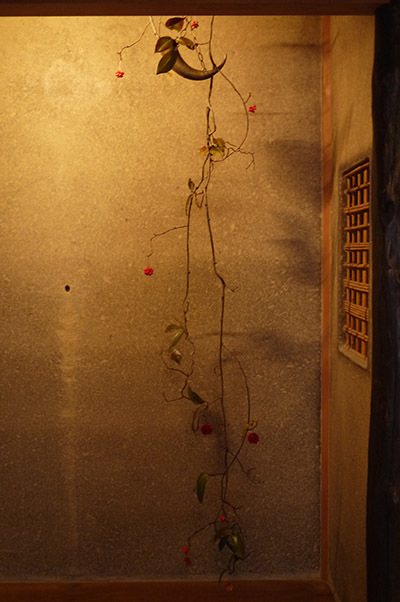 b0035734_14410971.jpg