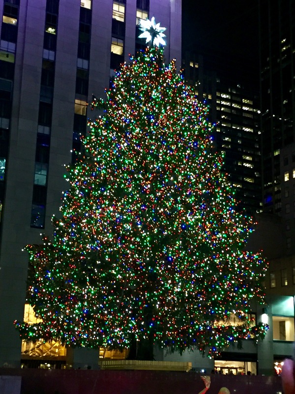 a0224537_5471445.jpg