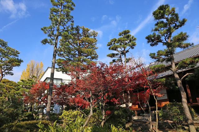 a0242438_1954750.jpg