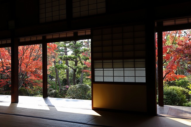 a0242438_19553567.jpg